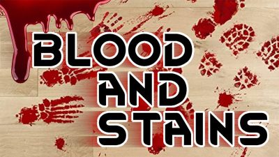Blood and Stains Mod