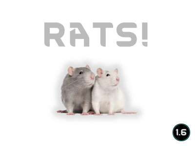 Rats