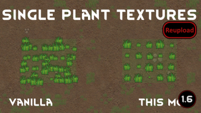 SinglePlantTexturePatch