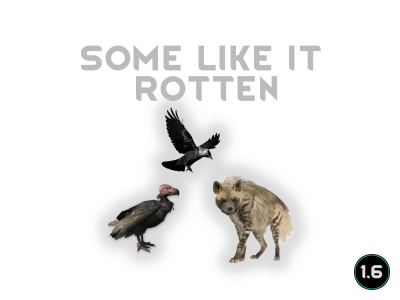 SomeLikeItRotten