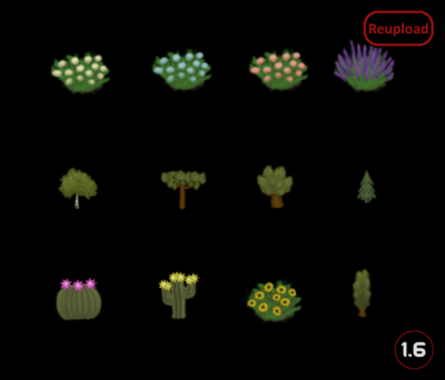SpidercampsDecorativePlants
