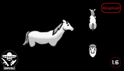 SpidercampsHorses