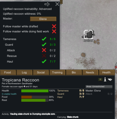 Uplifted_Raccoon_training.png