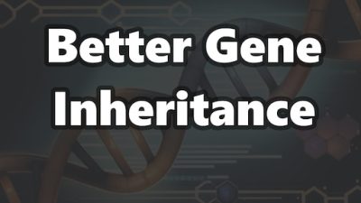 Better Gene Inheritance Mod_652fa5aea91b2.jpeg